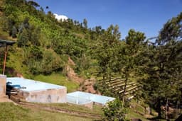 Rwanda Karambi  — 250g thumbnail 2