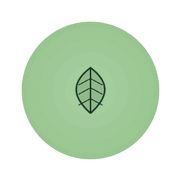 The Little Leaf Tea Co. Sencha Loose Leaf Tea 400g thumbnail 3