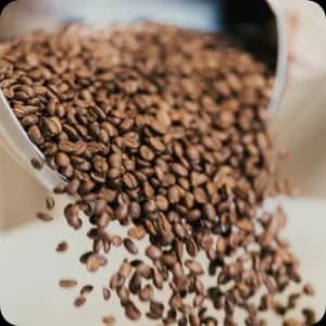 Brew Coffee Roasters on Instagram